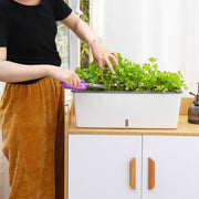 Self-Watering Planter Pots - BeShop